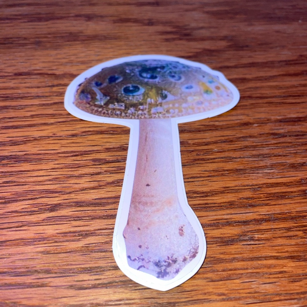 Colorful 13 Mushroom Sticker Set - Picture 9 of 14